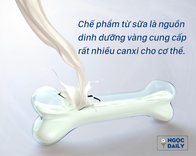 Các chế phẩm từ sữa cung cấp lượng lớn canxi cho cơ thể